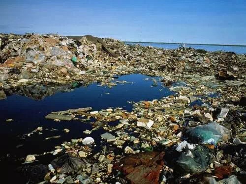 陶朗集团呼吁减少海洋垃圾