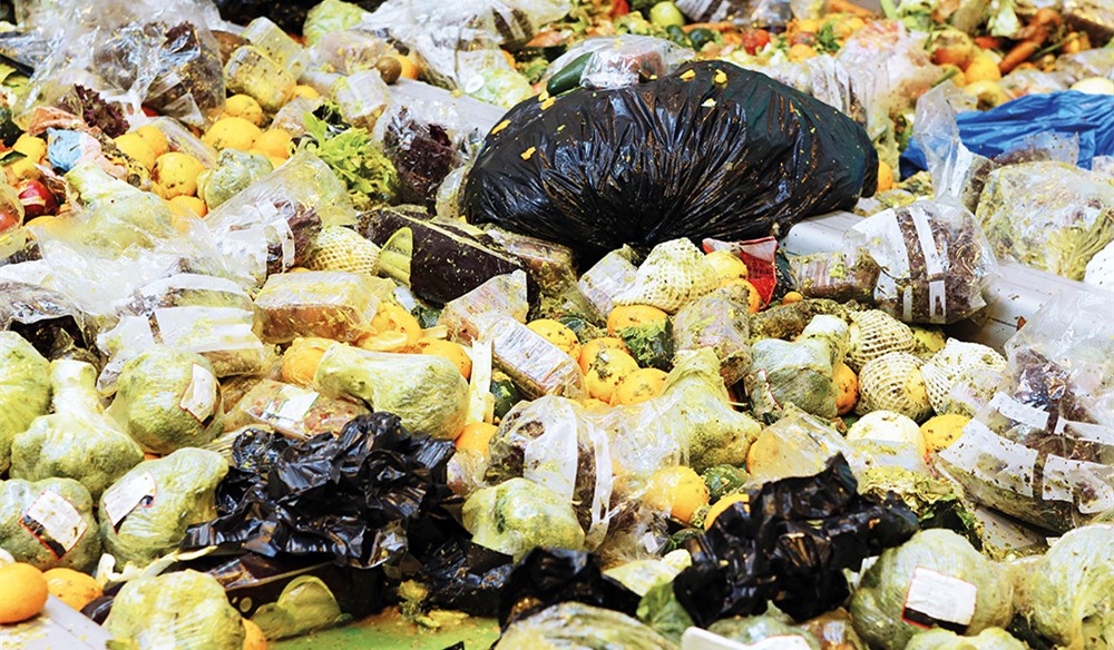 【厨余垃圾分选机】餐厨湿垃圾分拣处理 有机垃圾提纯设备 